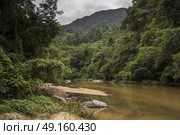 Scenic view of river flowing in forest, Yelapa, Jalisco, Mexico. Стоковое фото, агентство Ingram Publishing / Фотобанк Лори