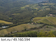 Aerial view of vineyards in valley, Radda in Chianti, Tuscany, Italy. Стоковое фото, агентство Ingram Publishing / Фотобанк Лори