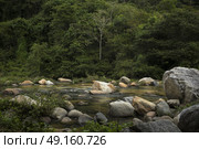 Scenic view of river flowing in forest, Yelapa, Jalisco, Mexico. Стоковое фото, агентство Ingram Publishing / Фотобанк Лори