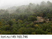 Houses amidst trees in forest, Greve in Chianti, Tuscany, Italy. Стоковое фото, агентство Ingram Publishing / Фотобанк Лори