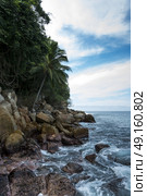 Scenic view of palm trees at seashore, Yelapa, Jalisco, Mexico. Стоковое фото, агентство Ingram Publishing / Фотобанк Лори