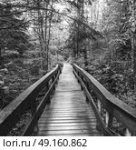 Wooden footbridge leading towards forest, Saint-Louis-de-Kent, New Brunswick, Canada. Стоковое фото, агентство Ingram Publishing / Фотобанк Лори