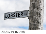Lobster sstreet sign, Peggy's Cove, Nova Scotia, Canada. Стоковое фото, агентство Ingram Publishing / Фотобанк Лори