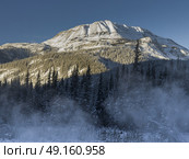 View of trees with snowcapped mountain in the background, Alaska Highway, Northern Rockies Regional Municipality, British Columbia, Canada. Стоковое фото, агентство Ingram Publishing / Фотобанк Лори