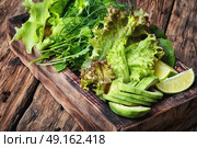 detox vegetable lettuce. Vegetarian salad with Lollo Rossa,avocado and lime.Salad leaf. Стоковое фото, агентство Ingram Publishing / Фотобанк Лори