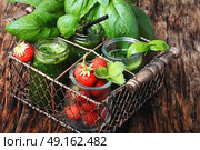 Smoothies with basil and strawberry. Freshly blended basil and strawberry smoothie in glass jar. Стоковое фото, агентство Ingram Publishing / Фотобанк Лори