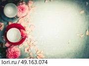 Roses with petals and cups on turquoise background, top view Morning ladies breakfast tea. Teatime. Стоковое фото, агентство Ingram Publishing / Фотобанк Лори