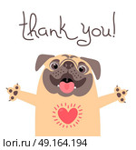 Cute dog says thank you. Pug with heart full of gratitude.. Cute dog says thank you. Pug with heart full of gratitude. Vector illustration. Стоковая иллюстрация, агентство Ingram Publishing / Фотобанк Лори