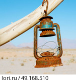 in iran blur old dead tree in the empty desert of persia lamp oil on branch. Стоковое фото, агентство Ingram Publishing / Фотобанк Лори