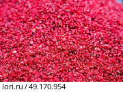 in iran factory of dried cranberries lots of vitamin and fresh nutrition. Стоковое фото, агентство Ingram Publishing / Фотобанк Лори