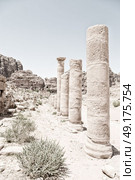 in petra jordan the antique street full of columns and architecture heritage. Стоковое фото, агентство Ingram Publishing / Фотобанк Лори