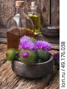 milk thistle flower. Стоковое фото, агентство Ingram Publishing / Фотобанк Лори