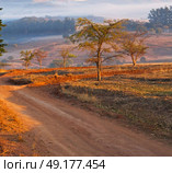blur in swaziland   mlilwane wildlife  nature  reserve mountain and tree. Стоковое фото, агентство Ingram Publishing / Фотобанк Лори