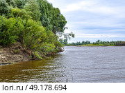 Река Тобол. Тюменская область. Ярковский район (2018 год). Стоковое фото, фотограф Александр Тараканов / Фотобанк Лори