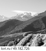 bush in todra gorge morocco africa and    snow. Стоковое фото, агентство Ingram Publishing / Фотобанк Лори