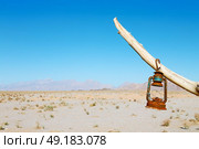 in iran blur old dead tree in the empty desert of persia lamp oil on branch. Стоковое фото, агентство Ingram Publishing / Фотобанк Лори