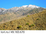 in ground africa morocco the bush  dry atlas mountain. Стоковое фото, агентство Ingram Publishing / Фотобанк Лори