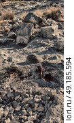 blur in turkey the chimera eternal fire from natural gas     in the rocks. Стоковое фото, агентство Ingram Publishing / Фотобанк Лори