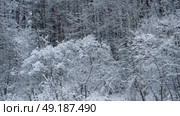 Snow-covered trees floating past a train or car window. Suitable for articles about winter travel, advertising of railway or bus tours related to nature. Winter travel. Snow-white landscape. Стоковое видео, видеограф Евгений Демидюк / Фотобанк Лори