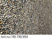 brick  the in mozzate  street lombardy italy  varese abstract   pavement of a curch and marble. Стоковое фото, агентство Ingram Publishing / Фотобанк Лори