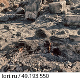 blur in turkey the chimera eternal fire from natural gas     in the rocks. Стоковое фото, агентство Ingram Publishing / Фотобанк Лори