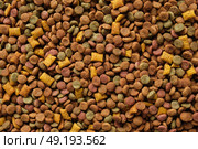 Pet Food Texture. Lot of Dry Granules of Crunchy Dog or Cat Food. Rotating Background. Animal Feed Pile. Fodder. Meal for Cats, Dogs. Filling. Daylight. Advertising. Pet Shop, Delivery. Healthy Treat. Стоковое фото, фотограф Марина Демидюк / Фотобанк Лори