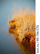 in lesotho mlilwane wildlife santuary the pound lake and  tree reflection in water. Стоковое фото, агентство Ingram Publishing / Фотобанк Лори