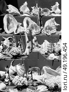 full in market old table shell and sealife in sale. Стоковое фото, агентство Ingram Publishing / Фотобанк Лори