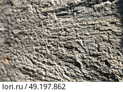 brick in  legnano  street lombardy italy  varese abstract   pavement of a curch and marble. Стоковое фото, агентство Ingram Publishing / Фотобанк Лори