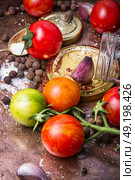 Homemade pickle tomato. Tomatoes, cooked with pepperand and garlic for the preservation. Стоковое фото, агентство Ingram Publishing / Фотобанк Лори