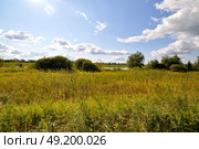 Пойма реки Тавды. Тюменская область. Нижне-Тавдинский район. Стоковое фото, фотограф Александр Тараканов / Фотобанк Лори
