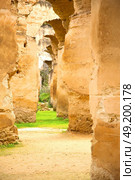 old moroccan granary in the green grass and archway  wall. Стоковое фото, агентство Ingram Publishing / Фотобанк Лори