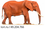 A powerful elephant with tusks stands confidently against a plain white backdrop. Стоковое AI-изображение, AI-художник Данила Большаков / Фотобанк Лори
