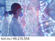 Scientists in lab coats and masks examine high-tech digital representation of DNA strands, utilizing advanced technology to study genetic information in sophisticated laboratory. Стоковое AI-изображение, AI-художник Данила Большаков / Фотобанк Лори