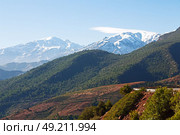 bush in todra gorge morocco africa and    snow. Стоковое фото, агентство Ingram Publishing / Фотобанк Лори