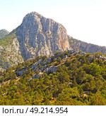  anatolia    from    the hill in asia turkey termessos old architecture and nature . Стоковое фото, агентство Ingram Publishing / Фотобанк Лори