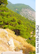  anatolia    from     the hill in asia turkey termessos old architecture and nature . Стоковое фото, агентство Ingram Publishing / Фотобанк Лори