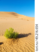 the empty quarter  and outdoor  sand  dune in oman old desert rub   al khali . Стоковое фото, агентство Ingram Publishing / Фотобанк Лори
