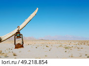 in iran blur old dead tree in the empty desert of persia lamp oil on branch. Стоковое фото, агентство Ingram Publishing / Фотобанк Лори