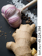 Spices and seeds with  salt at black background. seasoning. Colorful natural additives. Стоковое фото, агентство Ingram Publishing / Фотобанк Лори