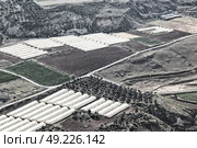 from high coultivation of vegetable in the greenhouse in jordan. Стоковое фото, агентство Ingram Publishing / Фотобанк Лори