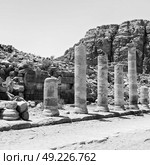 in petra jordan the antique street full of columns and architecture heritage. Стоковое фото, агентство Ingram Publishing / Фотобанк Лори