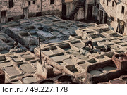 blur in morocco africa the antique tannery near the medina . Стоковое фото, агентство Ingram Publishing / Фотобанк Лори