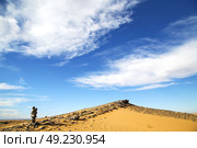  old fossil in  the desert of morocco sahara and rock  stone    sky. Стоковое фото, агентство Ingram Publishing / Фотобанк Лори