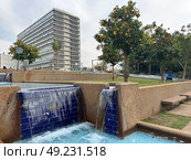 City park in Tel Aviv with citrus trees and a waterfall. Редакционное фото, фотограф Irina Opachevsky / Фотобанк Лори