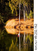 in lesotho mlilwane wildlife santuary the pound lake and  tree reflection in water. Стоковое фото, агентство Ingram Publishing / Фотобанк Лори