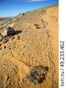  old fossil in  the desert of morocco sahara and rock  stone sky. Стоковое фото, агентство Ingram Publishing / Фотобанк Лори