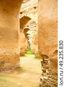 old moroccan granary in the green grass and archway  wall. Стоковое фото, агентство Ingram Publishing / Фотобанк Лори