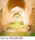 old moroccan granary in the green grass and archway  wall. Стоковое фото, агентство Ingram Publishing / Фотобанк Лори
