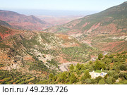 dades valley in atlas moroco africa ground tree  and nobody. Стоковое фото, агентство Ingram Publishing / Фотобанк Лори